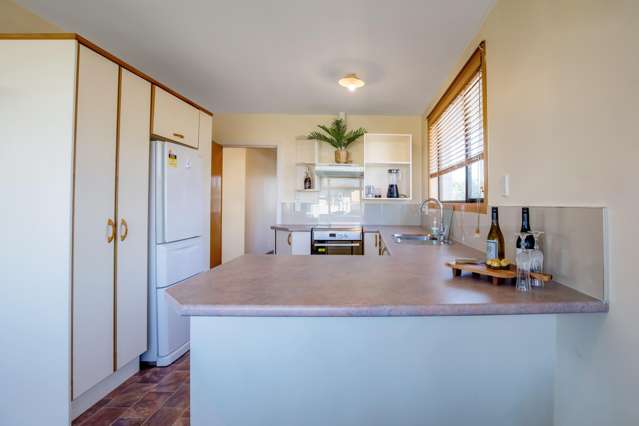 39 Boston Avenue Hornby_4