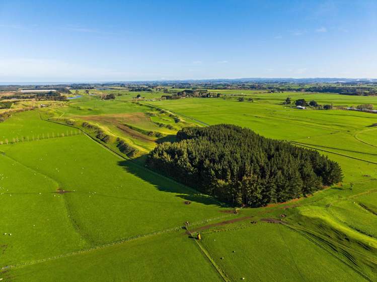 Marangai Road Whangaehu_6