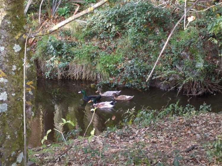 33 Southridge Drive Ohakune_1