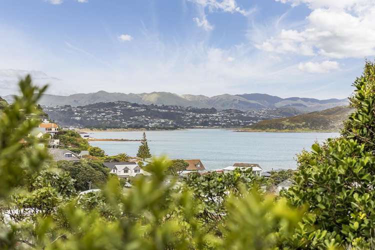 35-37 Airlie Road_0