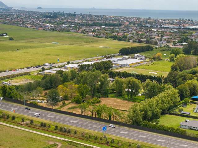 190A Tara Road Papamoa Beach_2