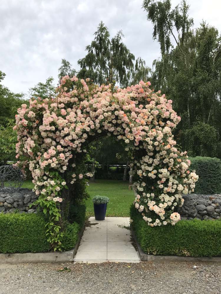 66 Coldstream Road Rangiora_12