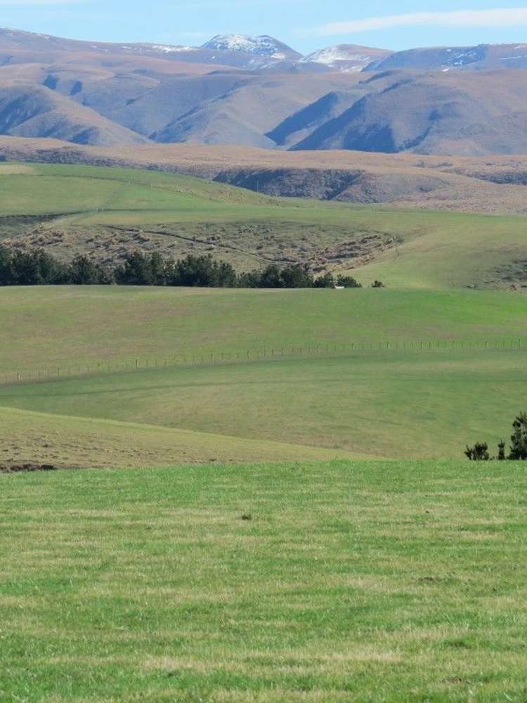 649 Kauru Hill Road Five Forks and Surrounds_11