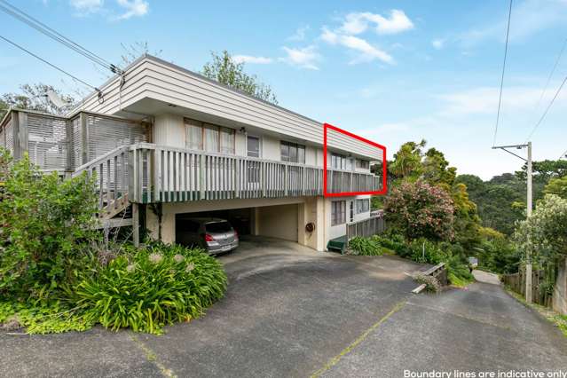 2/23a Balmain Road Birkenhead_1