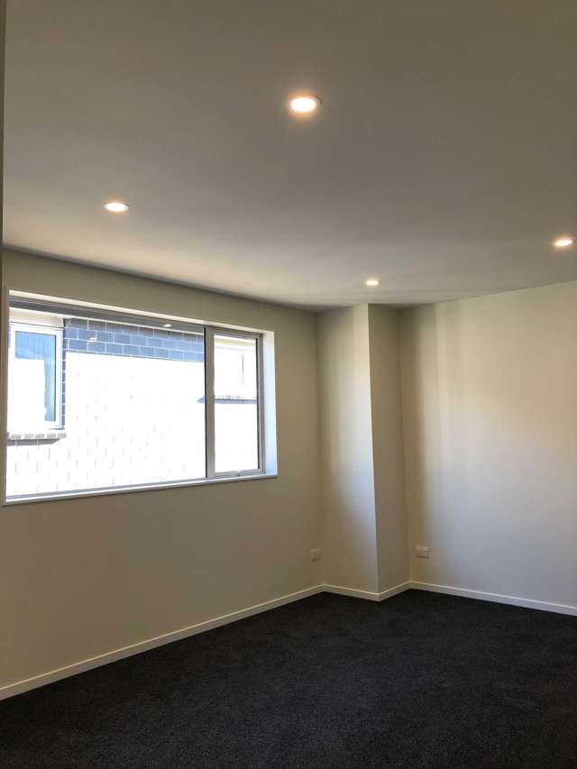 20 Eastfield Avenue Flat Bush_3