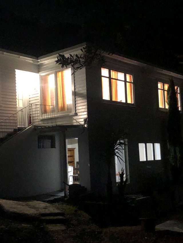 Large family house