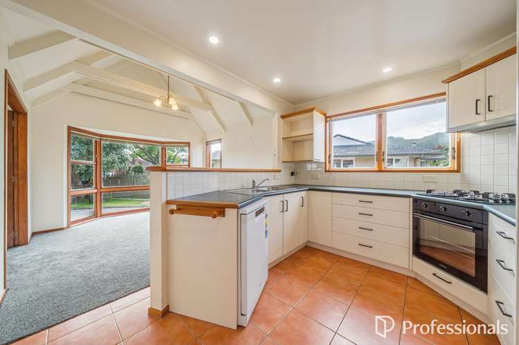 3 McEnroe Grove Naenae_9