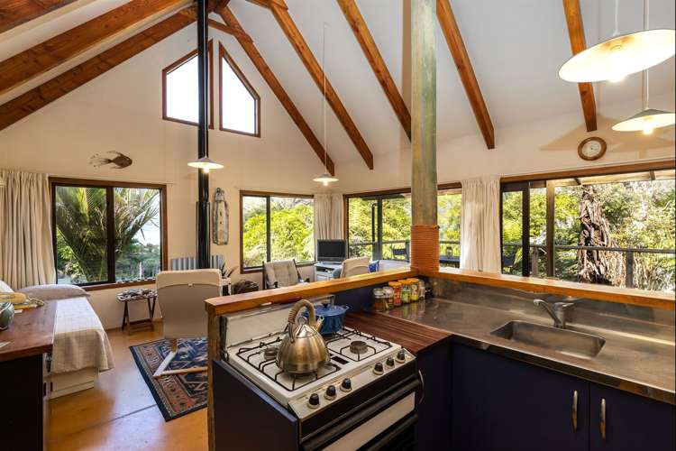 Little Nikau Bay Kenepuru Sound_8