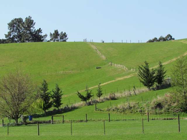28 Ramsgate Street Waihola_2