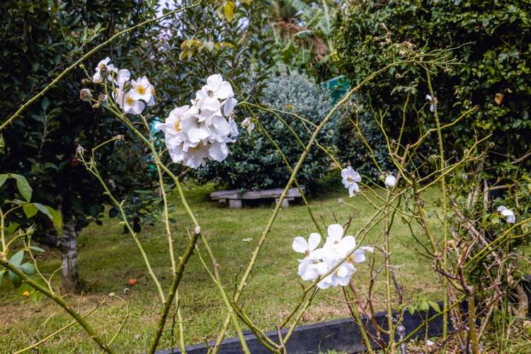 64 Wharf Road Ostend_27