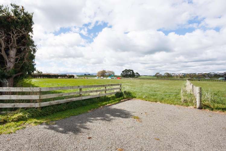 408 - 10 Taonui Road Colyton_7