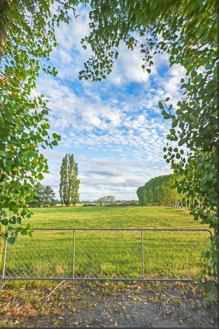 130 Merton Road Fernside_31