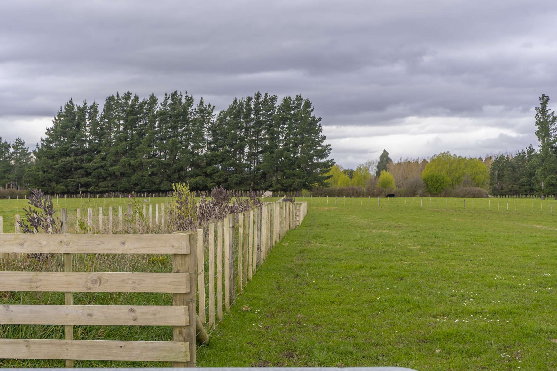 289 Waihakeke Road Carterton_0