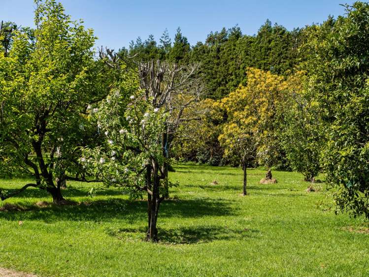 85 Wharawhara Road Katikati_17