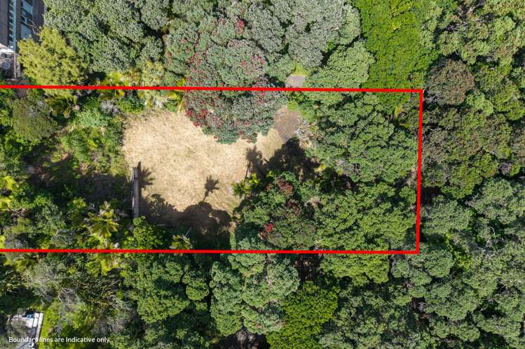 48 Beach Valley Road Piha_8