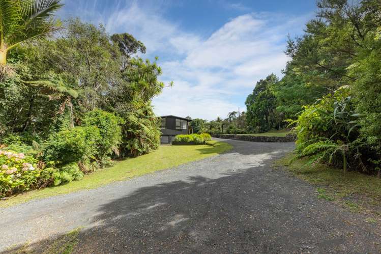 256 Piha Road Piha_17