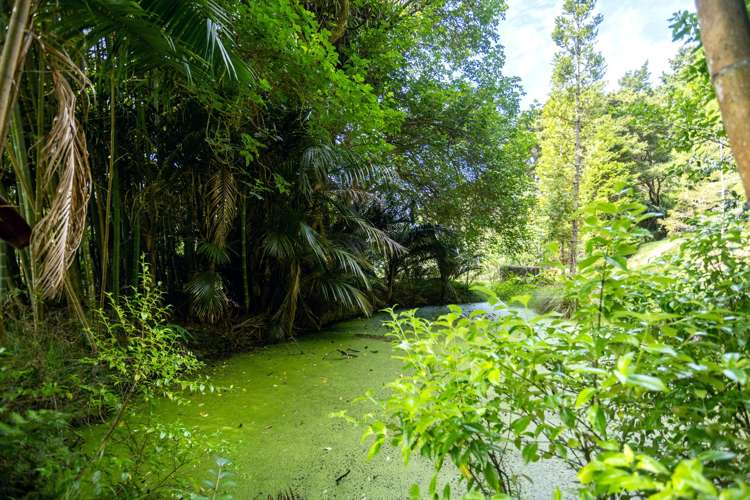 5 Yarborough Street Kohukohu_46