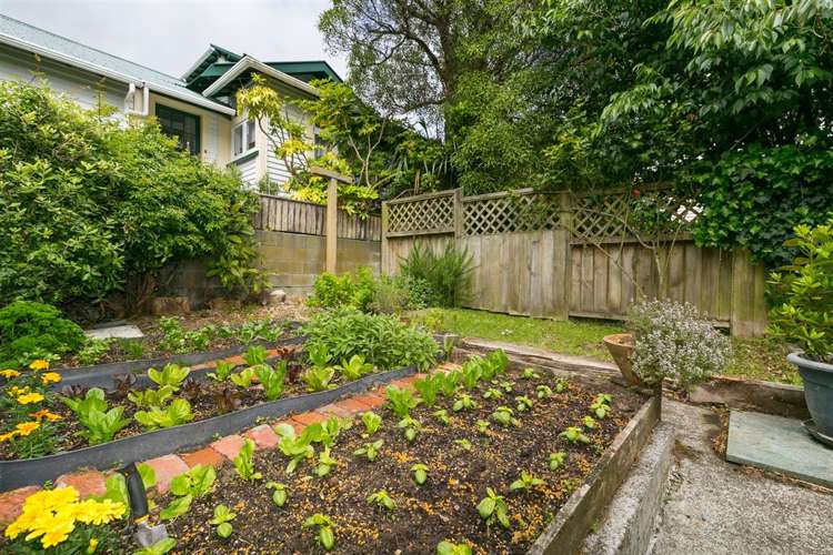 17 Oban Street Wadestown_18