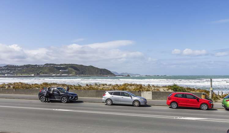 1/48 Lyall Parade Lyall Bay_11