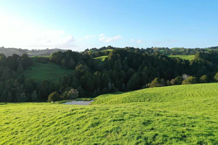 34 Wairere Valley Road Paparoa_11