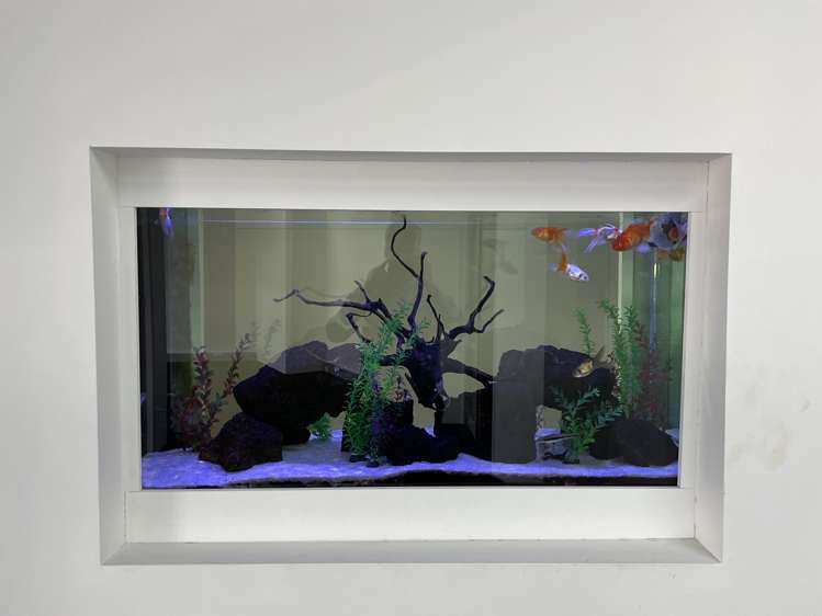 Office 2/59 Pitt Street Auckland Cbd_6