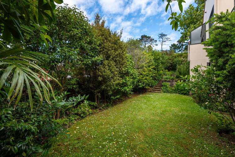 3/3 Galaxy Drive Mairangi Bay_8