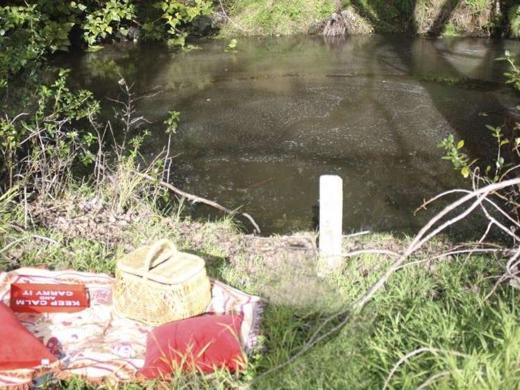 19 Darmah Lane Mangawhai_11