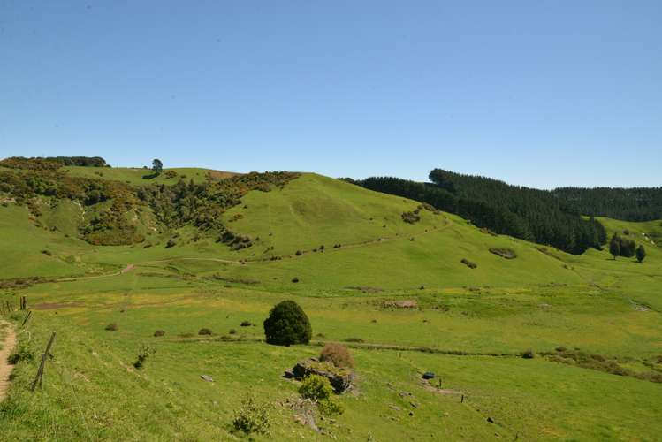 877 Puketawai Road Otorohanga_18