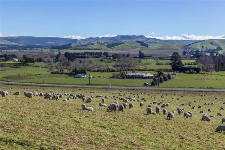 654 Omihi Road Waipara_7