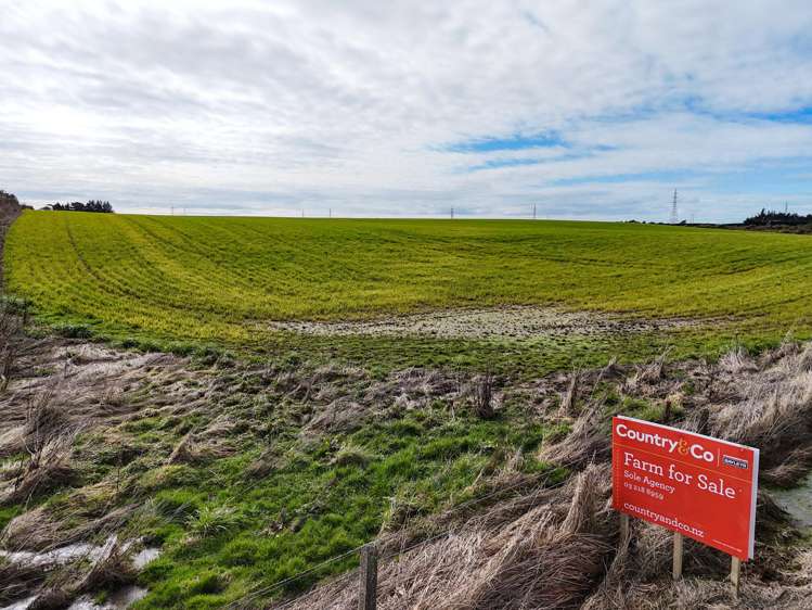 63 Taylor Road Lorneville_3