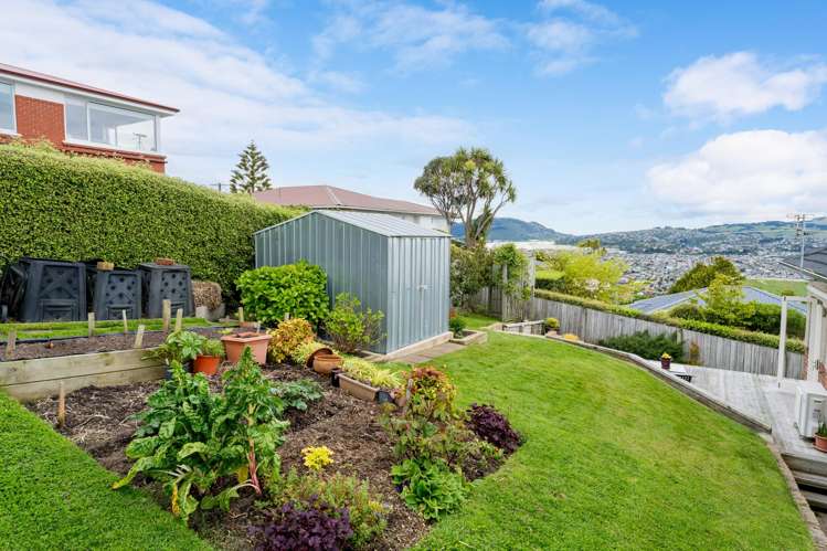 108 Ravenswood Road Saint Clair_10