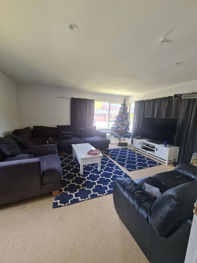 55 Erris Street Johnsonville_4