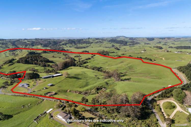 215 Allen and Eyre Road Onewhero_17