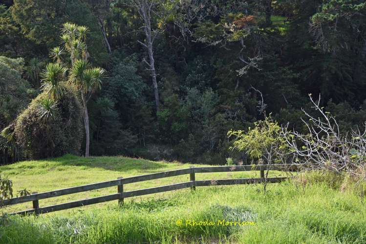 8 Heaths Way Paparoa_12