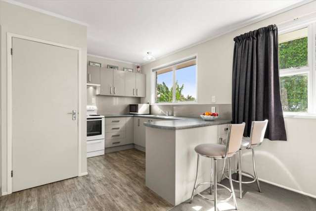 45B Moehau Street Te Puke_1