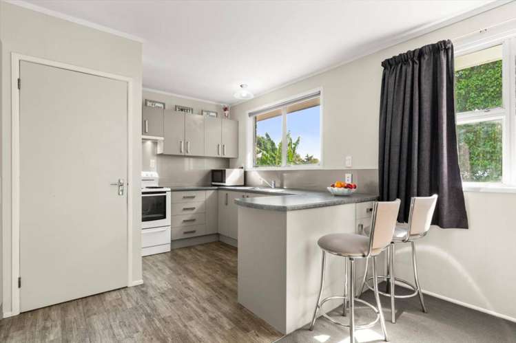 45B Moehau Street Te Puke_1