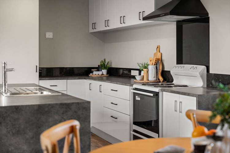 34 Crane Street Mt Maunganui_2