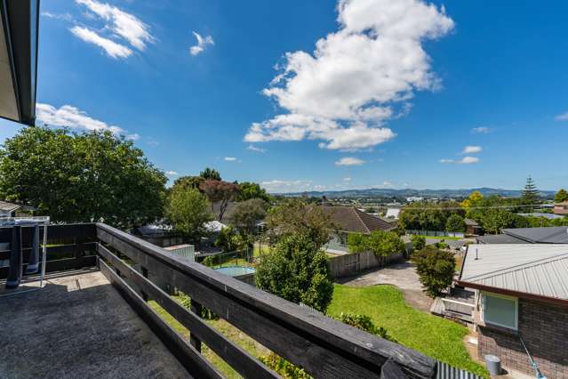 234 Waihi Road Judea_3