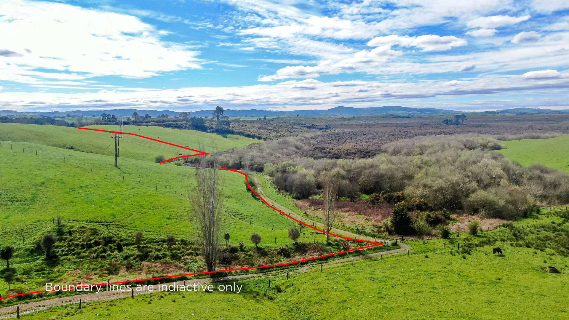 407 Island Block Road Te Kauwhata_0