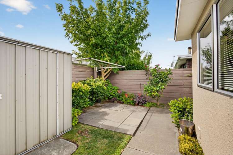 57 Avenue Road Greenmeadows_26