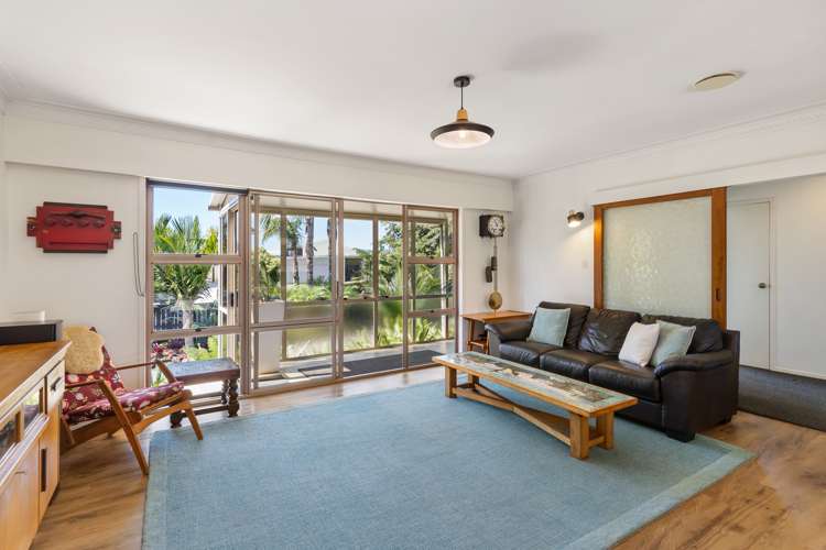 123 Elliot Street Pahurehure_3