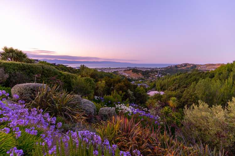 151 Panorama Drive Enner Glynn_19