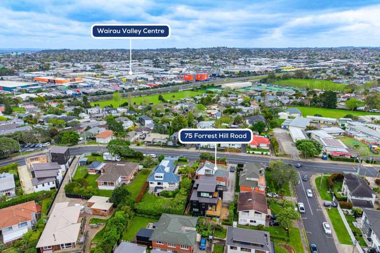 75 Forrest Hill Road Milford_6