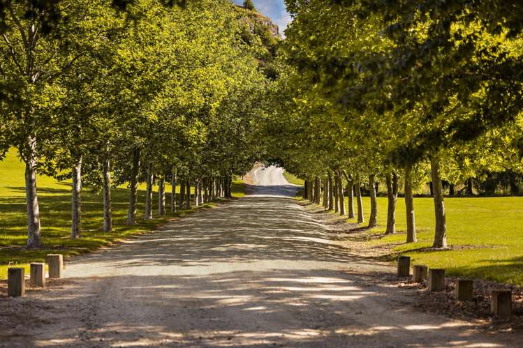 80 Toka Road Dalefield/Wakatipu Basin_11