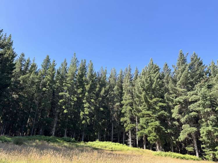 109 Mclaren Gully Road Allanton_8