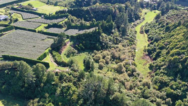 217 Maungarangi Road Te Puke_14