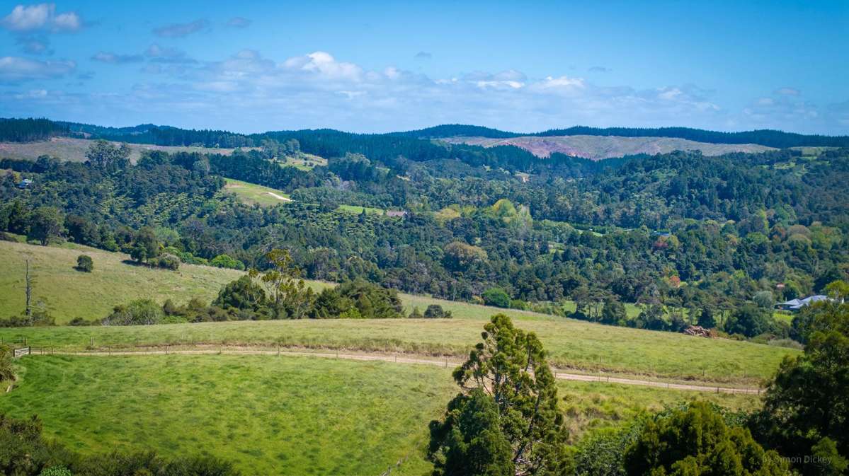 328 Sunnyside Road_3