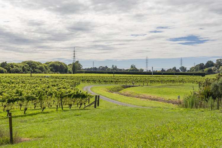 1905 Matapiro Road Crownthorpe_19