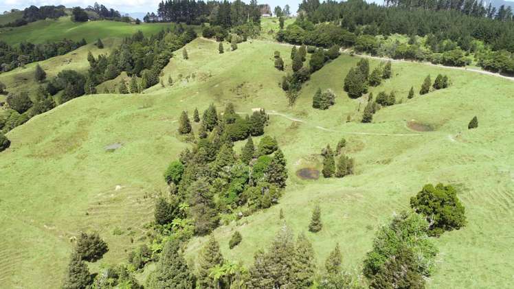 109 Paponga Road Broadwood_7