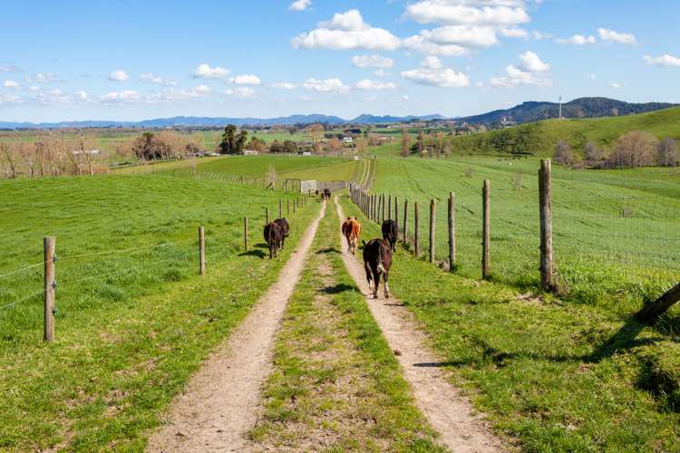 968 Tauhei Road Tauhei_8